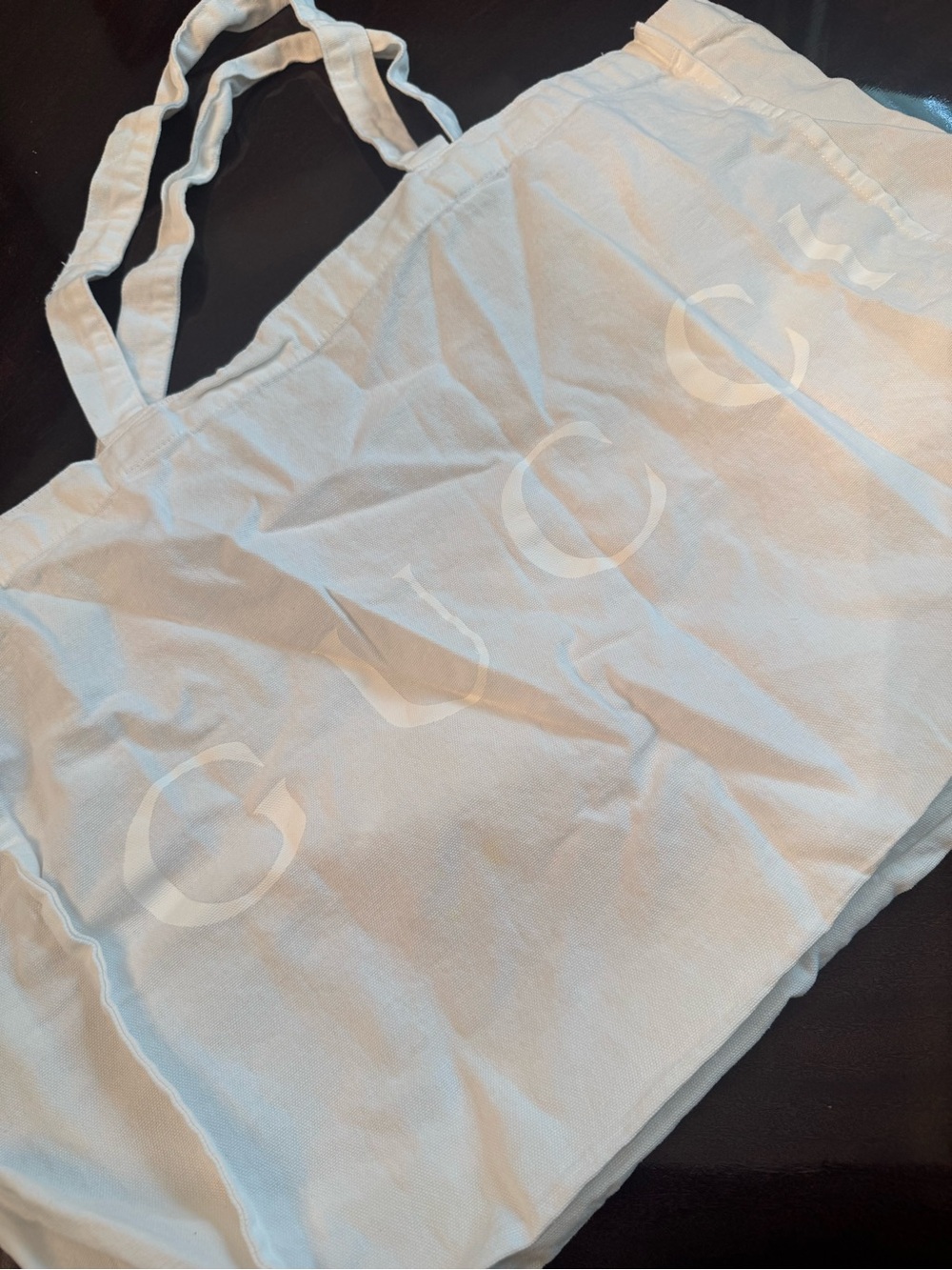 Gucci Dust Bag_S